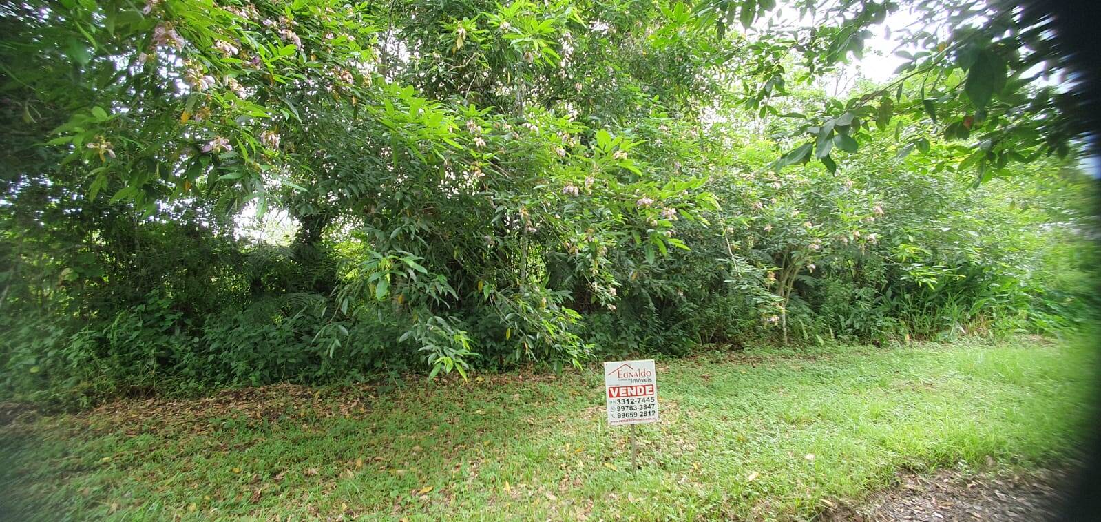 #392 - Área para Venda em Bertioga - SP