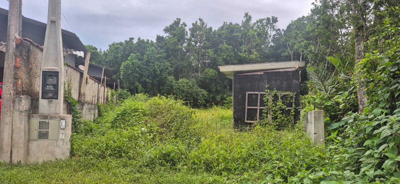 #500 - Área para Venda em Bertioga - SP