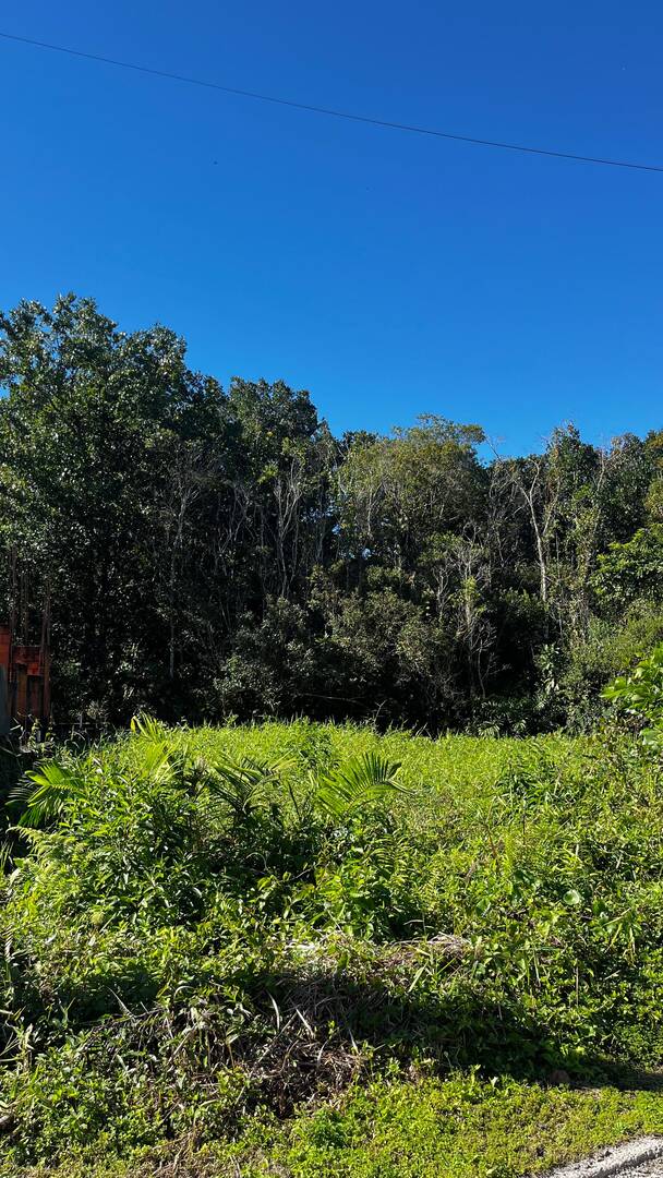 #507 - Área para Venda em Bertioga - SP