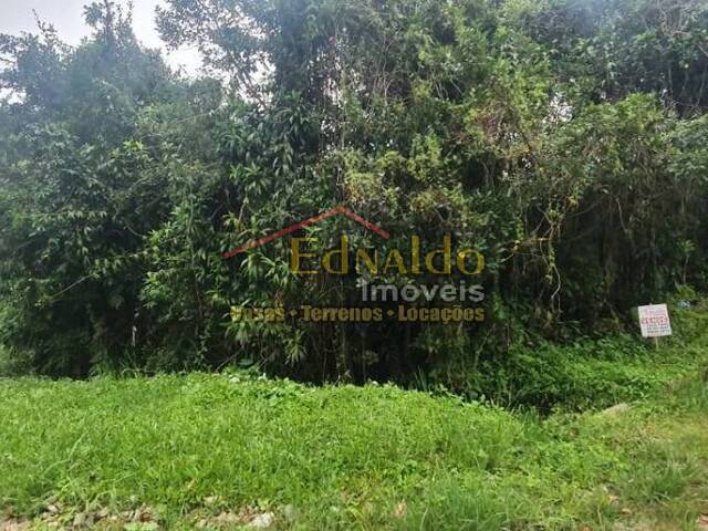 #258 - Área para Venda em Bertioga - SP