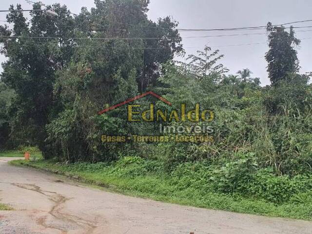 #258 - Área para Venda em Bertioga - SP
