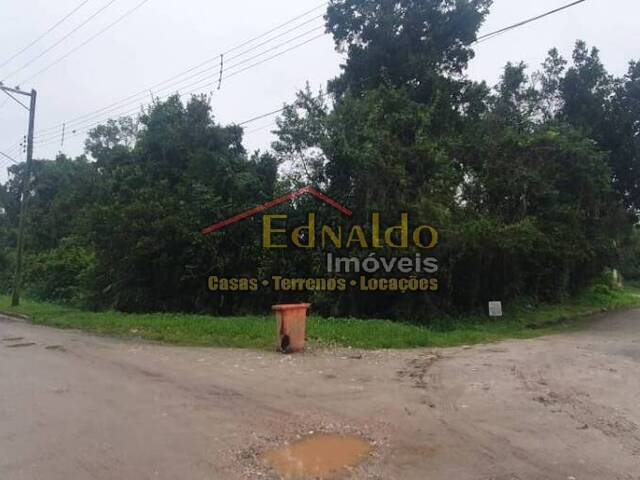 #258 - Área para Venda em Bertioga - SP