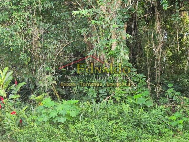 #474 - Área para Venda em Bertioga - SP - 3