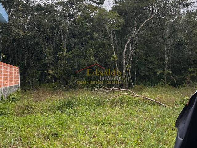 #480 - Área para Venda em Bertioga - SP - 1