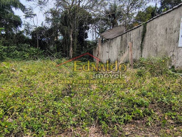 #481 - Área para Venda em Bertioga - SP - 1