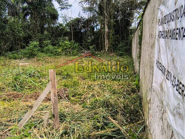 #481 - Área para Venda em Bertioga - SP - 3