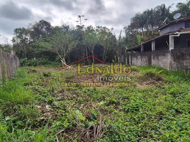 #482 - Área para Venda em Bertioga - SP - 1