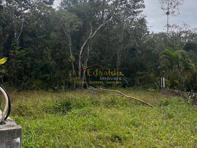 #485 - Área para Venda em Bertioga - SP - 1